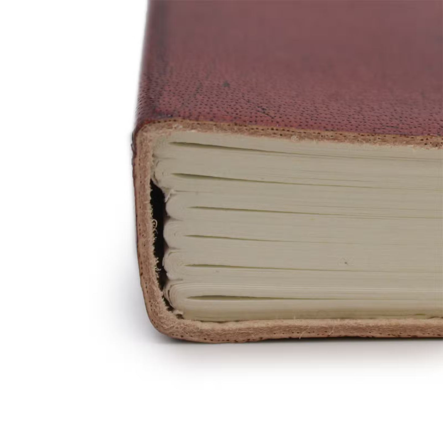 Tree of Life Leather Notebook